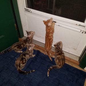 Meet your Posher, Julie